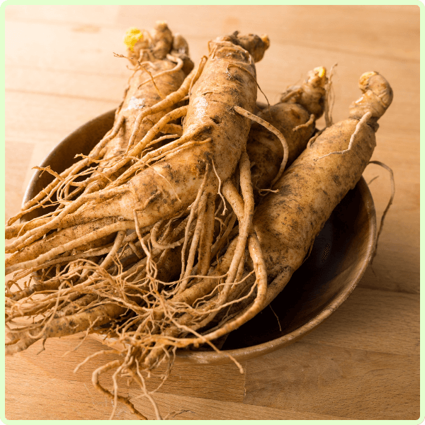 Gökçek Bitkisel Toz Ekstreleri Ginseng Toz Ekstresi